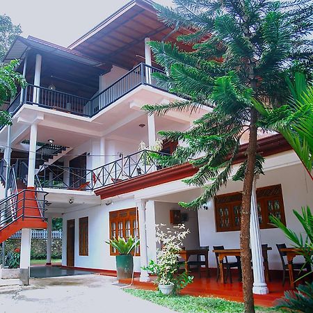 Freedom Guest Inn إيلا المظهر الخارجي الصورة