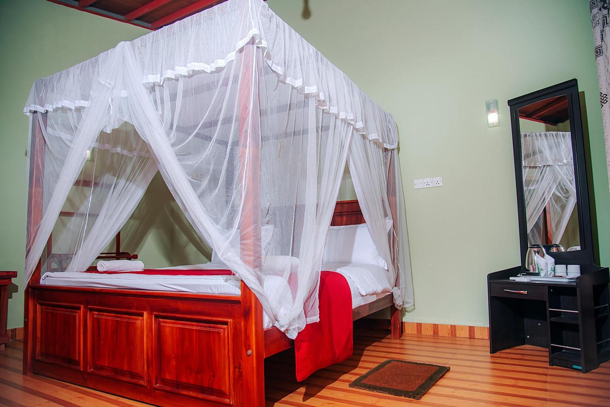 Freedom Guest Inn إيلا المظهر الخارجي الصورة